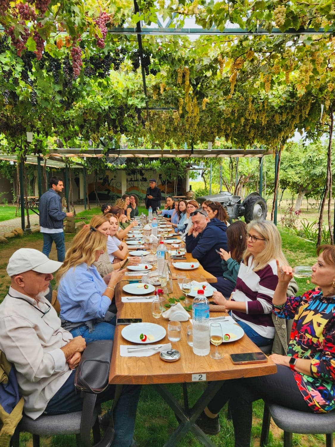 A Guide to the Urla Wine Road: Grape, Terroir, Ritual