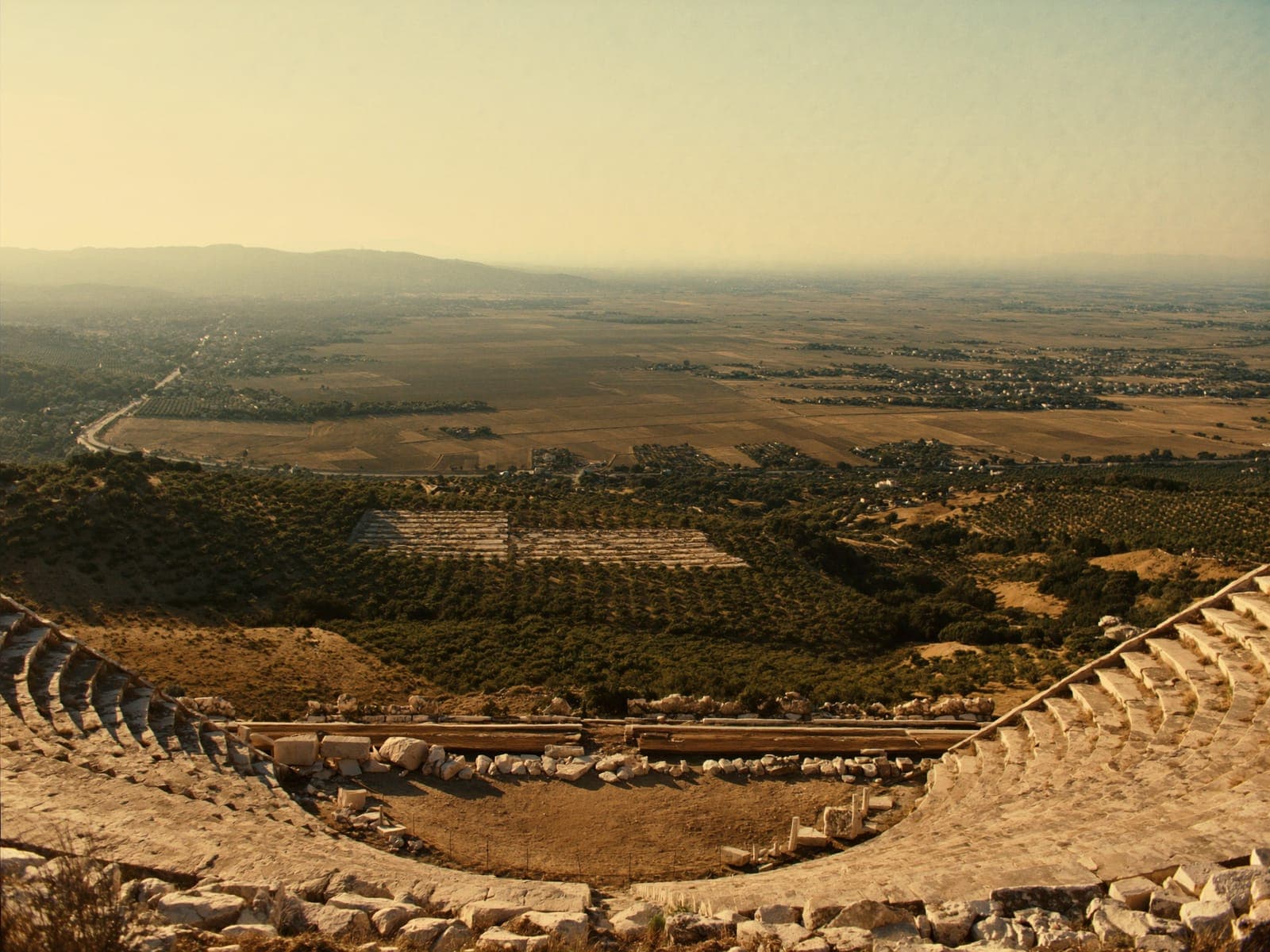 Metropolis & LA Vineyards